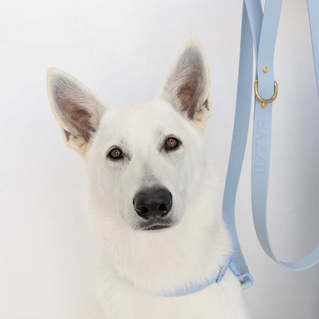 New Leash Hardware Instructions