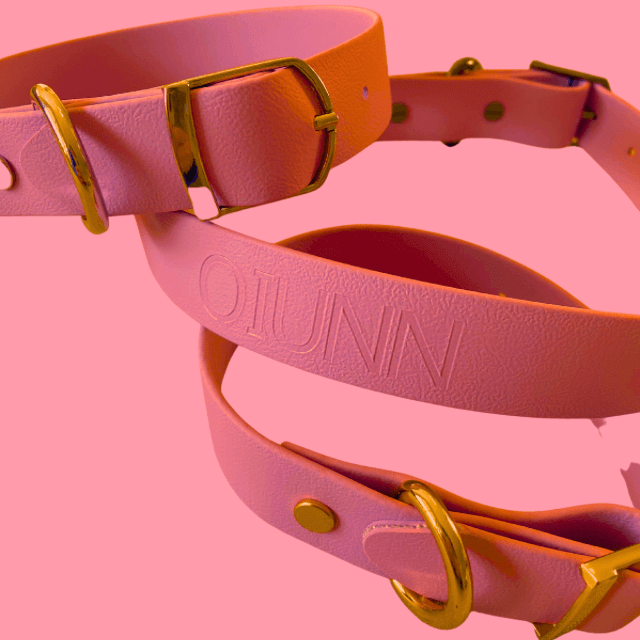 Aperol Spritz Collar
