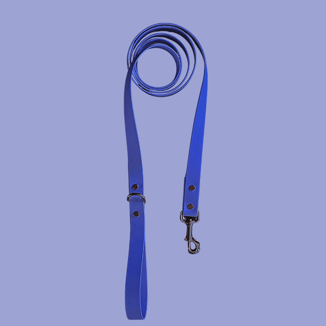 Bondi Blue Leash