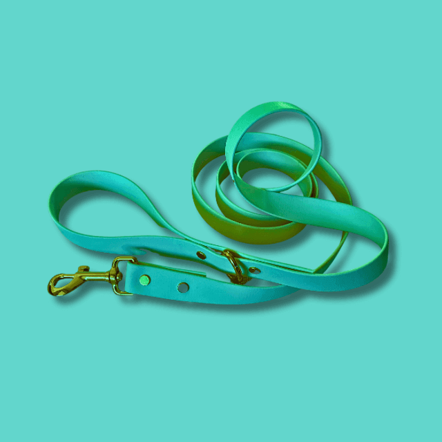 La Mer Leash