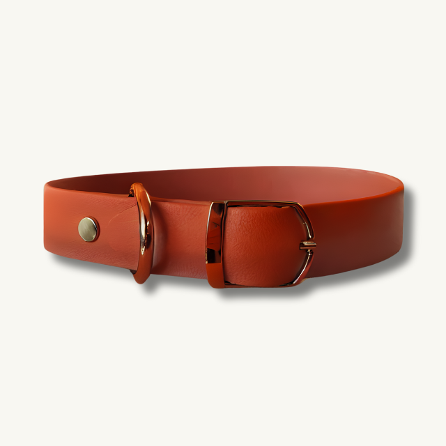 Hermes Orange Collar