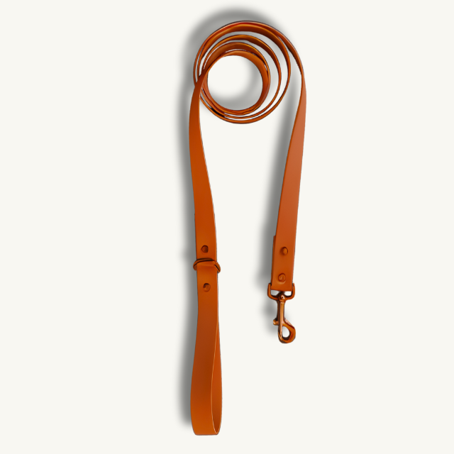 Hermes Orange Leash