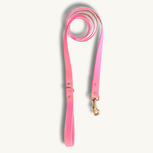 Ballet Slipper Leash