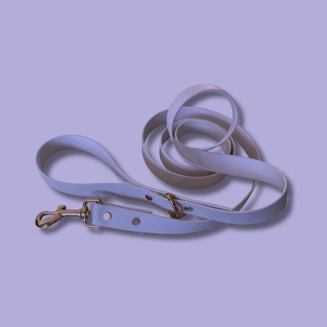 Stylish lavender waterproof dog leash with personalized details for fashion-forward pets.