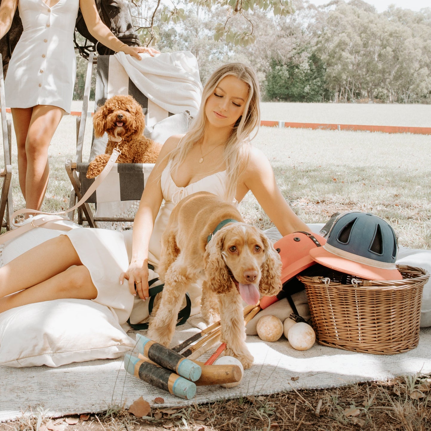British Racing Green Collar