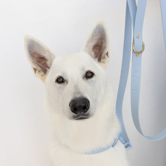 New Leash Hardware Instructions
