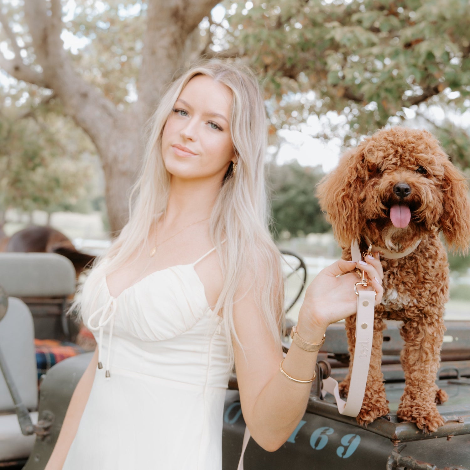 DOG MUM FAVOURITES