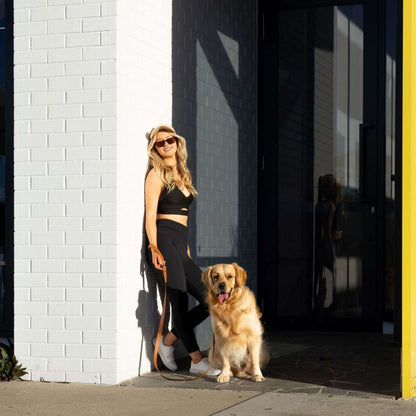 Moët Honey Leash