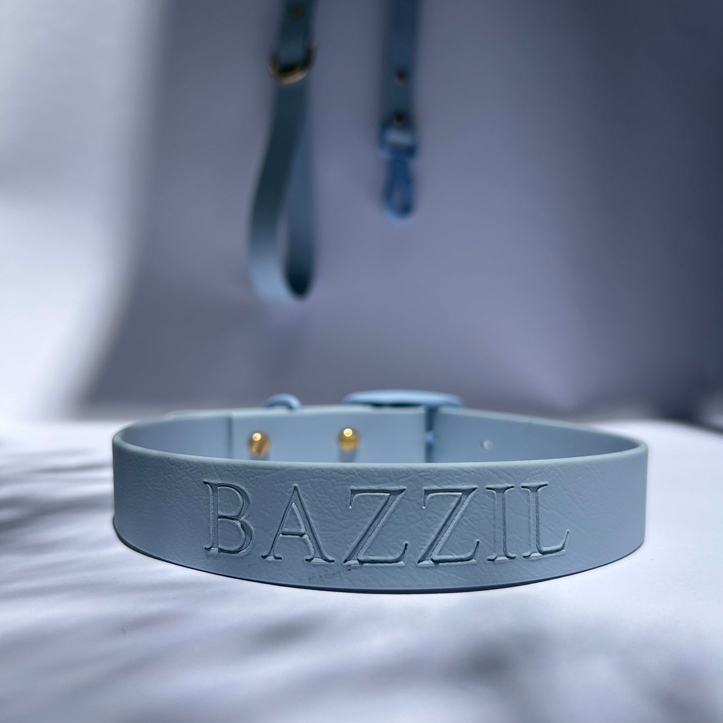 Bridgerton Leash