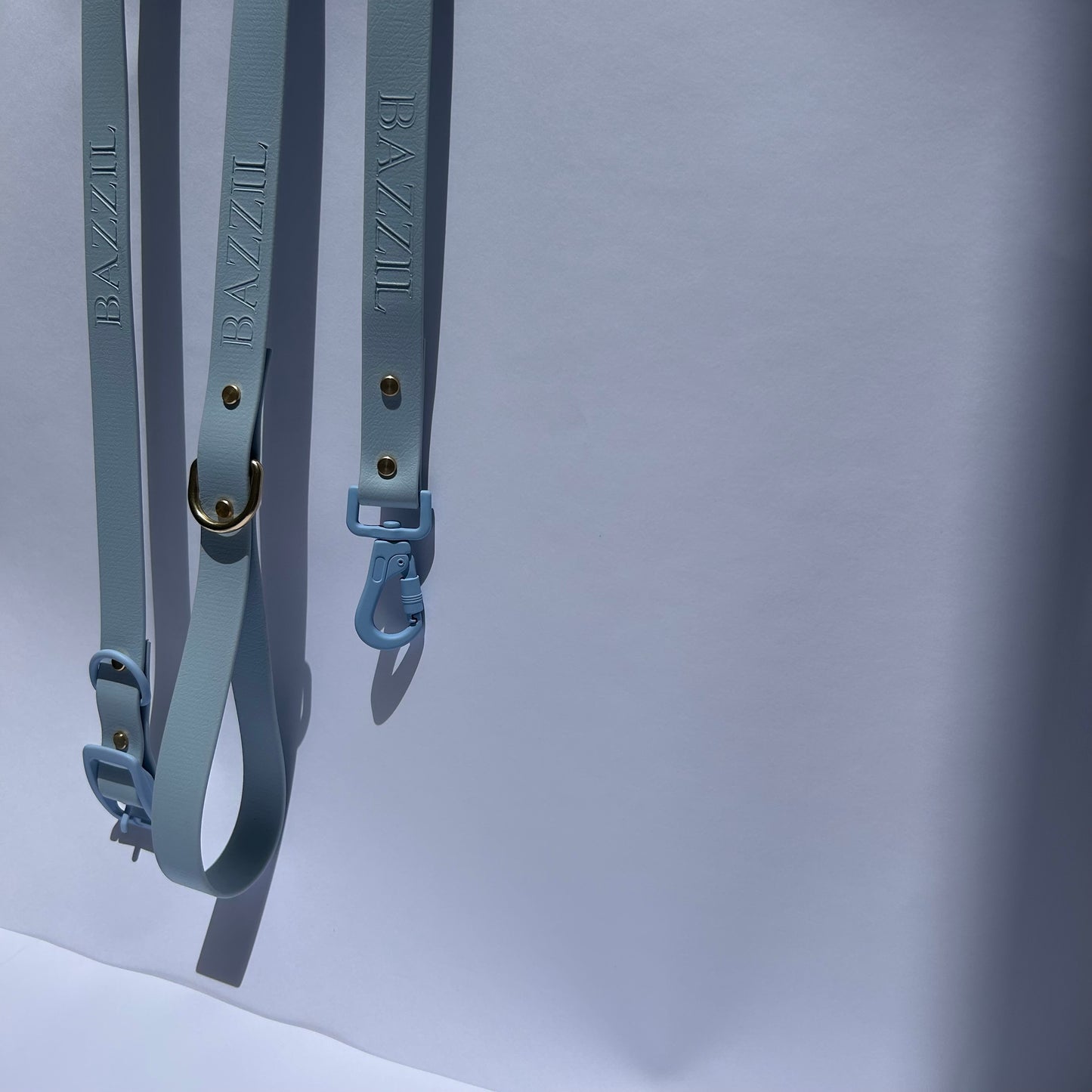 Bridgerton Leash