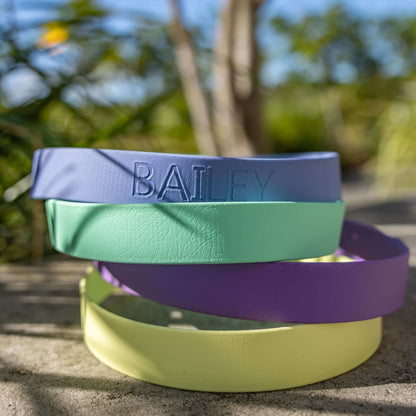 Bordeaux Violet Collar
