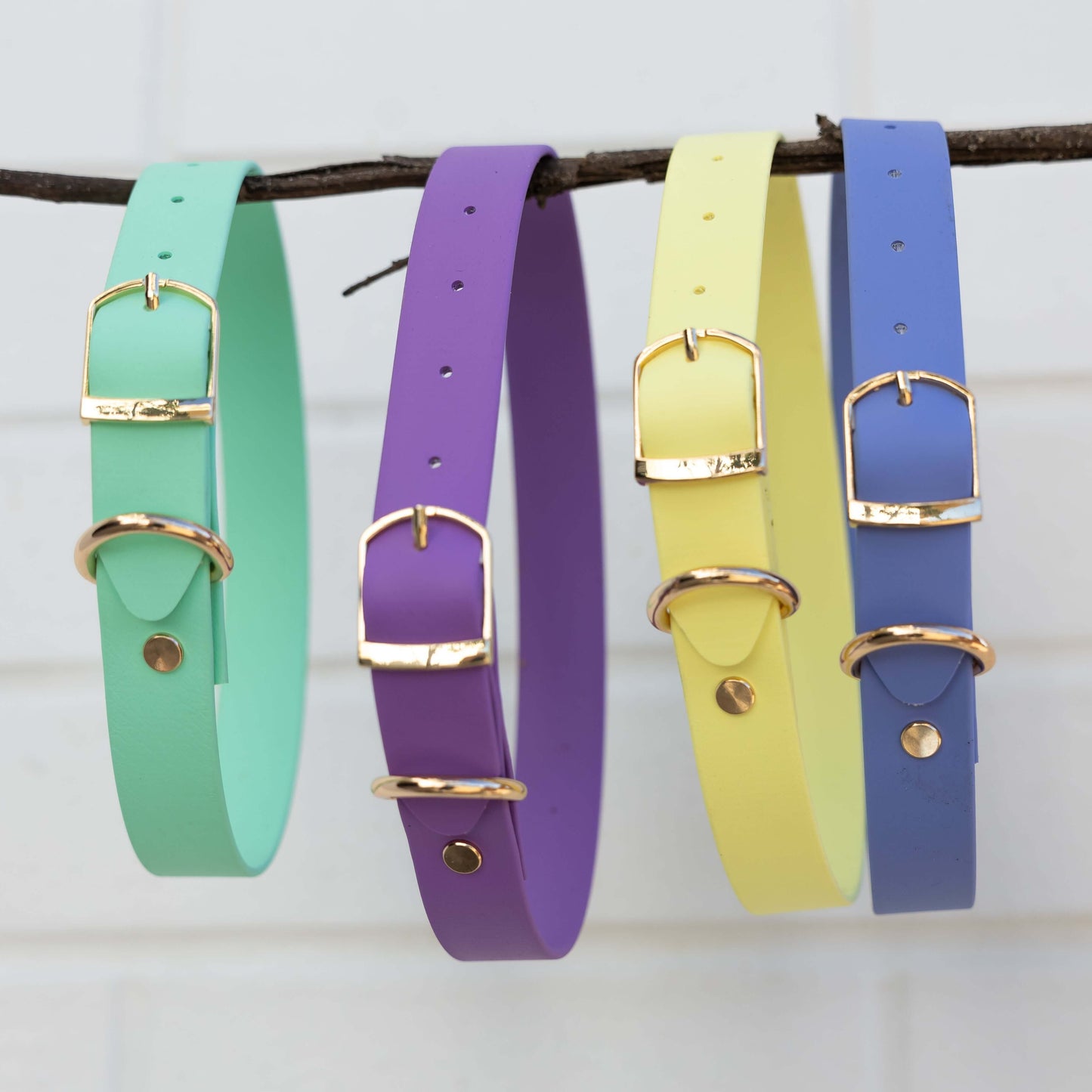 Bordeaux Violet Collar