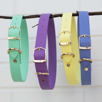 Bordeaux Violet Collar
