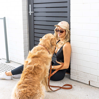 Moët Honey Leash