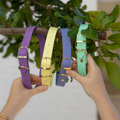 Bordeaux Violet Collar