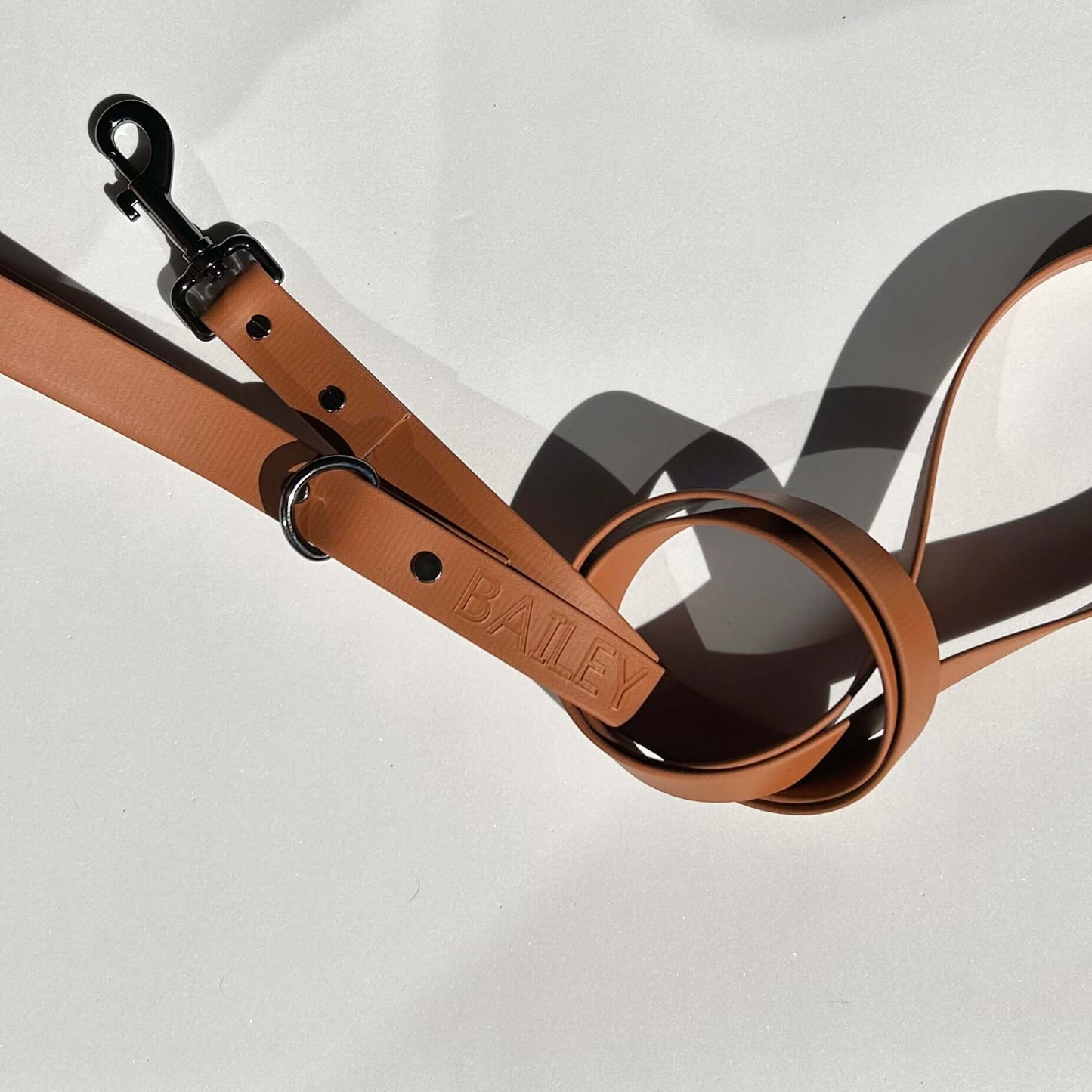 Moët Honey Leash