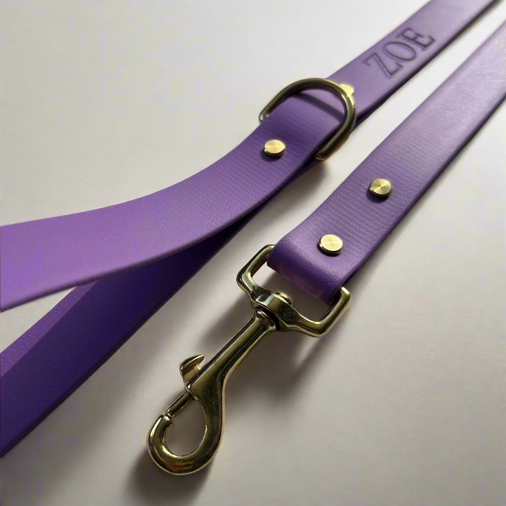 Bordeaux Violet Leash