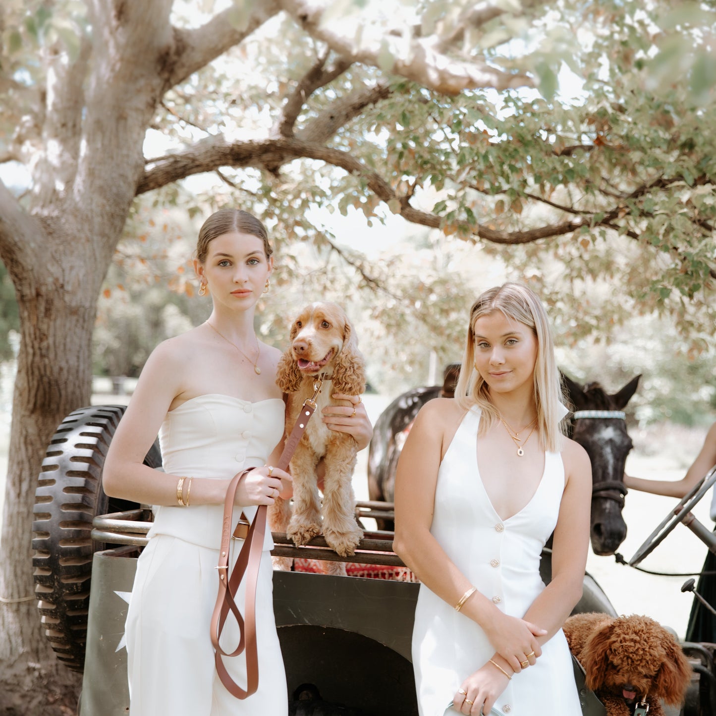 Brunello Brown Leash