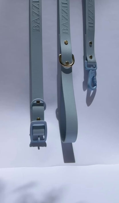 Bridgerton Leash